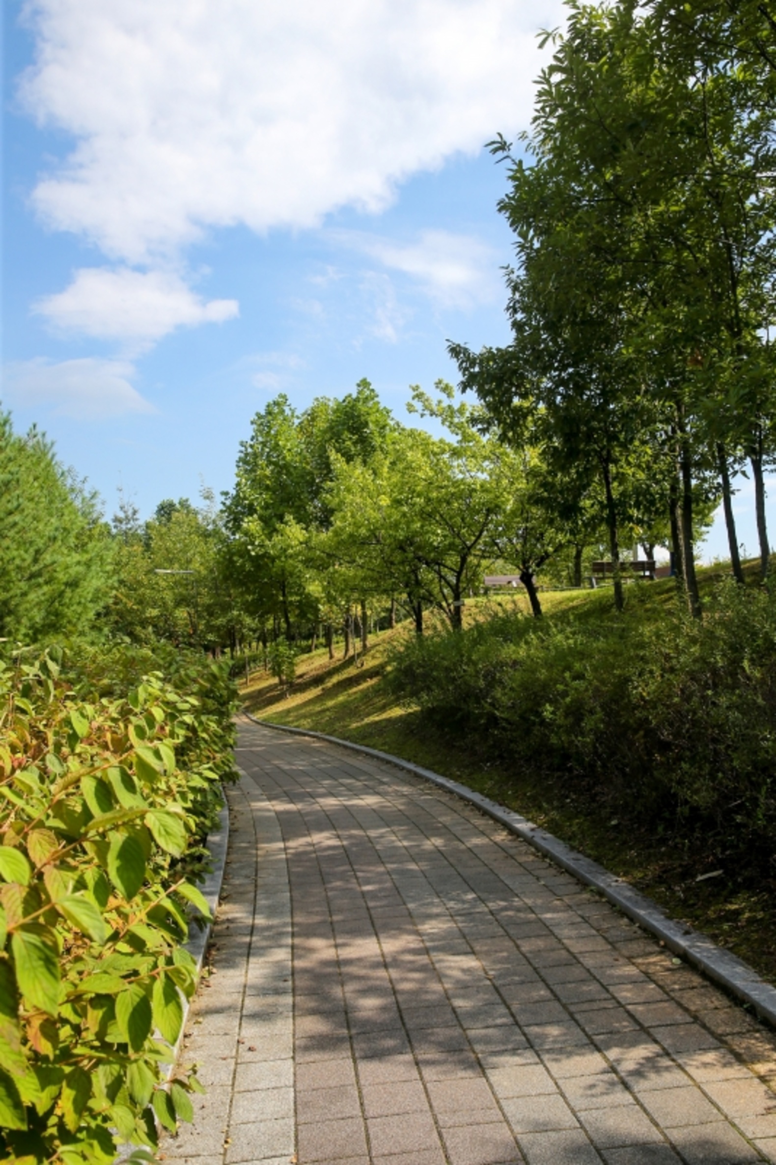 범박카페거리, 웃고얀근린공원 이미지