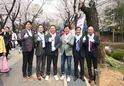 제26회 도당산 벚꽃축제2 이미지