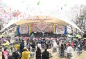 제26회 도당산 벚꽃축제7 이미지