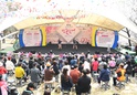 제26회 도당산 벚꽃축제9 이미지